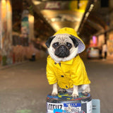 Premium Hooded Dog Raincoat - 5: FancyPetTags.com