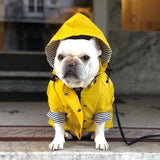 Premium Hooded Dog Raincoat - 9: FancyPetTags.com