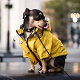 Premium Hooded Dog Raincoat - 3: FancyPetTags.com