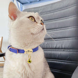Premium Small Personalized Leather Collar with Bell - 4: FancyPetTags.com
