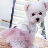 Princess Lace Pet Skirt - 1: FancyPetTags.com