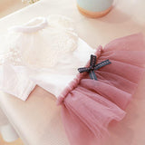 Princess Lace Pet Skirt - 6: FancyPetTags.com