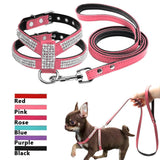 DiDog Bling Bling Back Clip Harness & Leash Combo - FancyPetTags.com