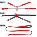 DiDog Bling Bling Back Clip Harness & Leash Combo - FancyPetTags.com