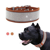Premium Sparkly Bling Bling Suede Leather Collar - FancyPetTags.com