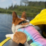 Rainbow Pride Dog Cooling Vest - 3: FancyPetTags.com