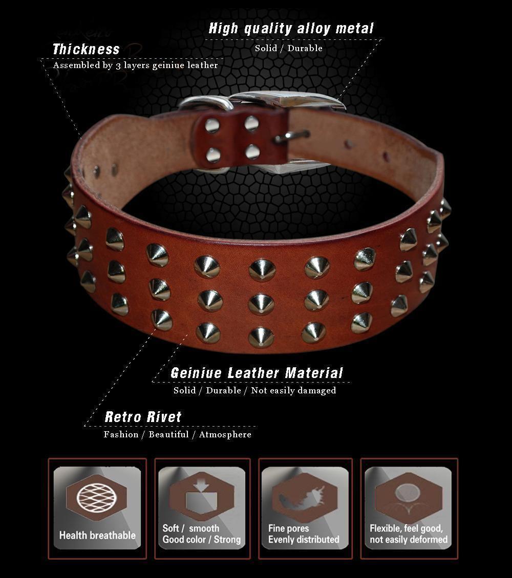 Rivets Studded Genuine Leather Collar | FancyPetTags.com