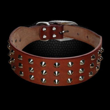 Rivets Studded Genuine Leather Collar | FancyPetTags.com