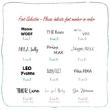 Shiny Simple Design Tag (Double Sided) - FancyPetTags.com