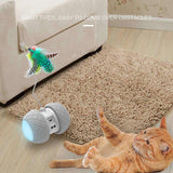 Smart Interactive Cat Teaser Toy - www.FancyPetTags.com