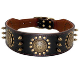 Spiked Studded Big Dog Genuine Leather Collar - 12: FancyPetTags.com