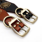 Spiked Studded Big Dog Genuine Leather Collar - 7: FancyPetTags.com