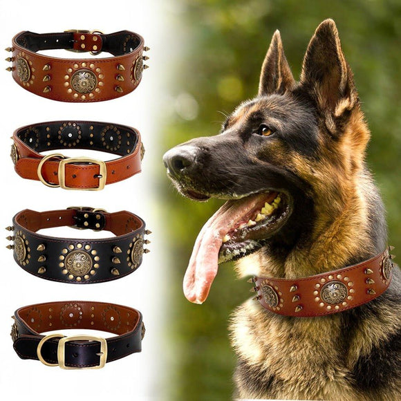 Spiked Studded Big Dog Genuine Leather Collar - 1: FancyPetTags.com