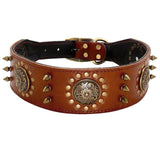 Spiked Studded Big Dog Genuine Leather Collar - 11: FancyPetTags.com