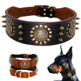 Spiked Studded Big Dog Genuine Leather Collar - 2: FancyPetTags.com