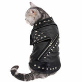 Studded Leather Pet Jacket - 4: www.FancyPetTags.com