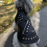 Studded Leather Pet Jacket - 3: www.FancyPetTags.com