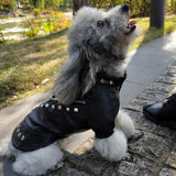 Studded Leather Pet Jacket - 2: www.FancyPetTags.com