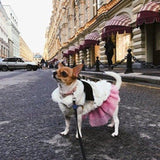 Stunningly Elegant Faux Fur Pet Overcoat - 3: FancyPetTags.com