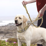 Tactical Bungee Dog Leash - 5: FancyPetTags.com