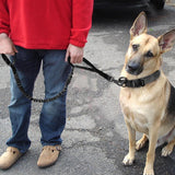Tactical Bungee Dog Leash - 2: FancyPetTags.com