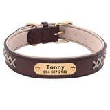 Trendy Leather X Name Tag Collar - 12: FancyPetTags.com