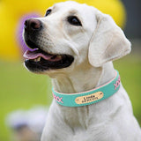 Trendy Leather X Name Tag Collar - 2: FancyPetTags.com