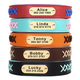 Trendy Leather X Name Tag Collar - 7: FancyPetTags.com
