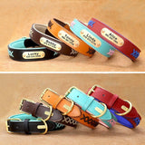 Trendy Leather X Name Tag Collar - 10: FancyPetTags.com