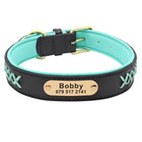 Trendy Leather X Name Tag Collar - 11: FancyPetTags.com