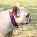 Trendy Leather X Name Tag Collar - 6: FancyPetTags.com