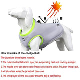 Truelove Pet Cooling No Pull Harness Vest - 12: FancyPetTags.com