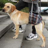 Waist Support Pet Mobility Lift Harness - 1: FancyPetTags.com